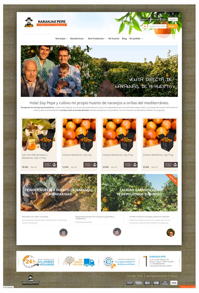 diseño tienda online naranjas de Castelló